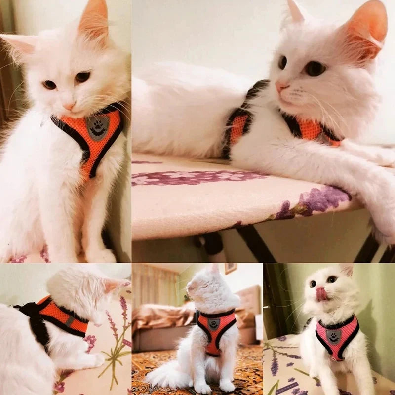 PawFit Harness