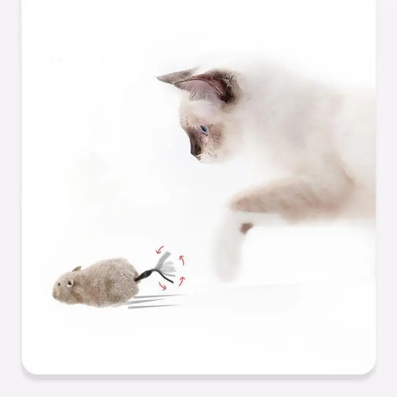 PurrMouse Toy
