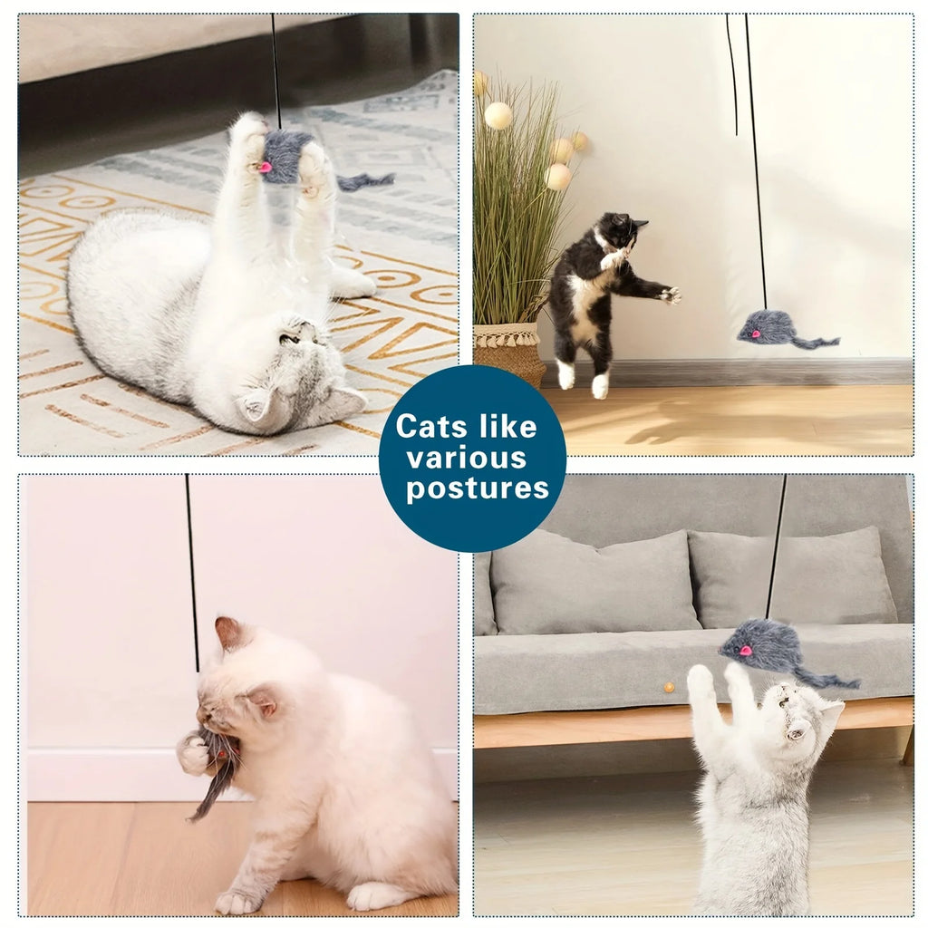 PurrSwing Toy