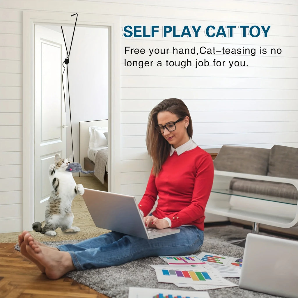 PurrSwing Toy