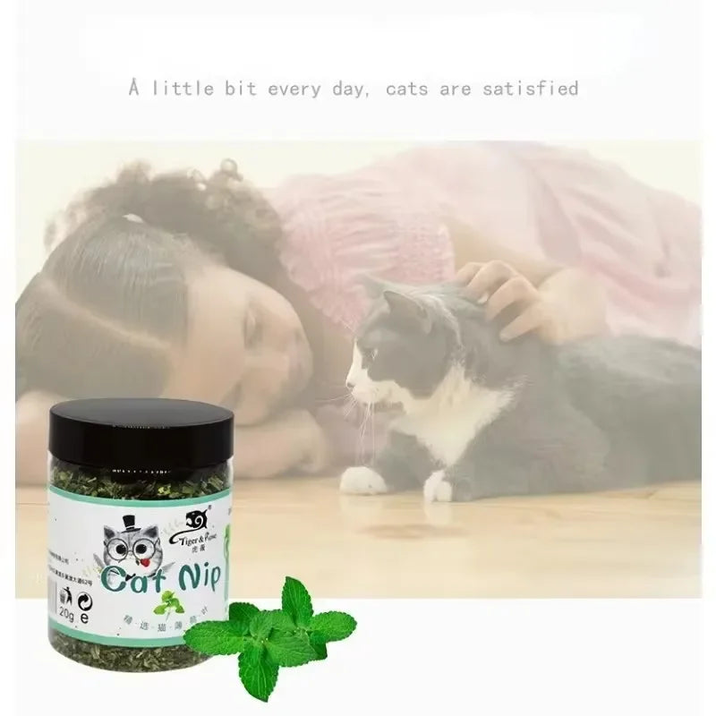 KittyMint Toy