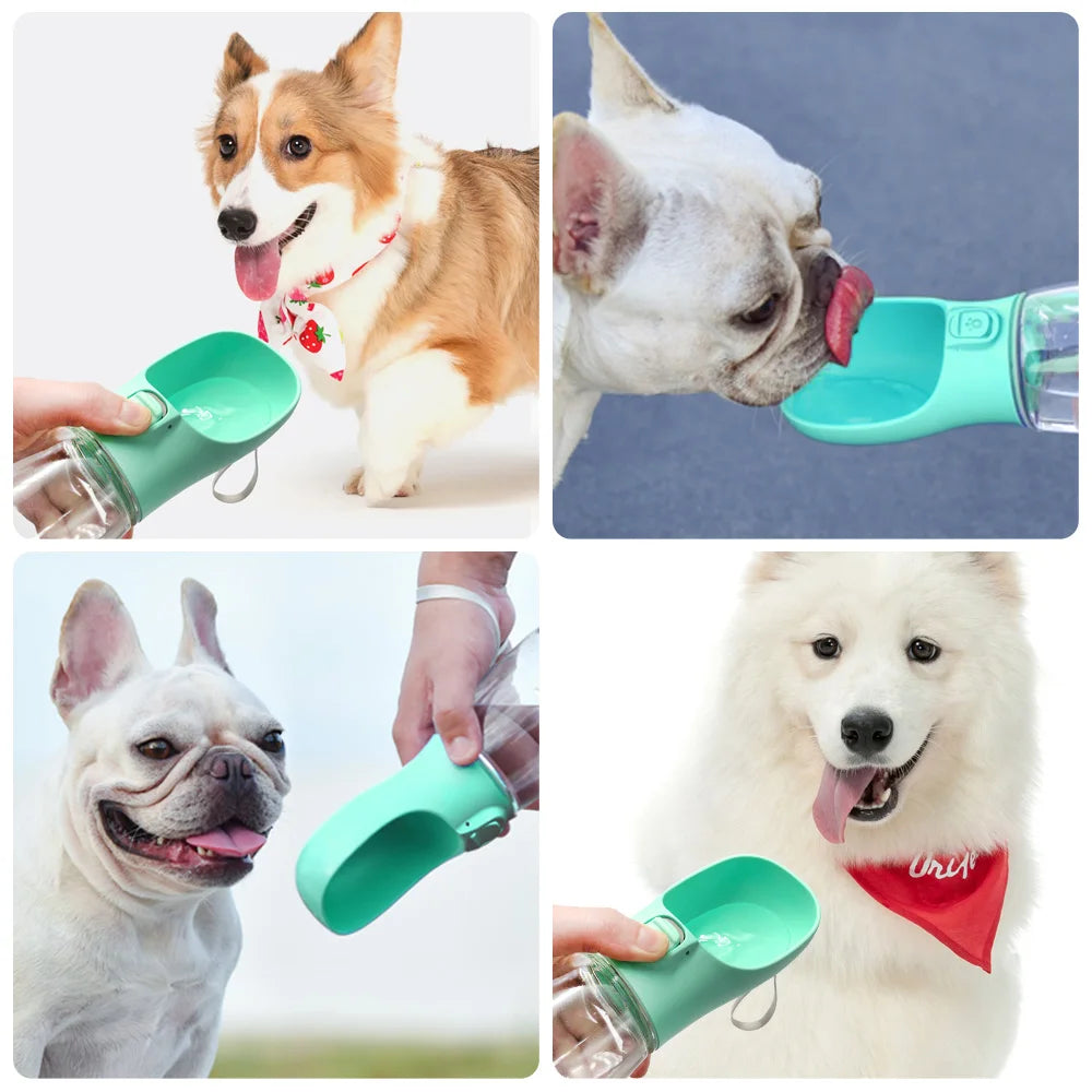 PawSip Portable Water Bottle 🐶💧