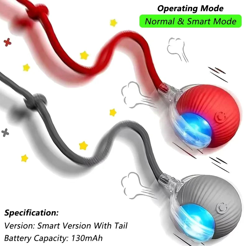 Smart Interactive Pet Ball