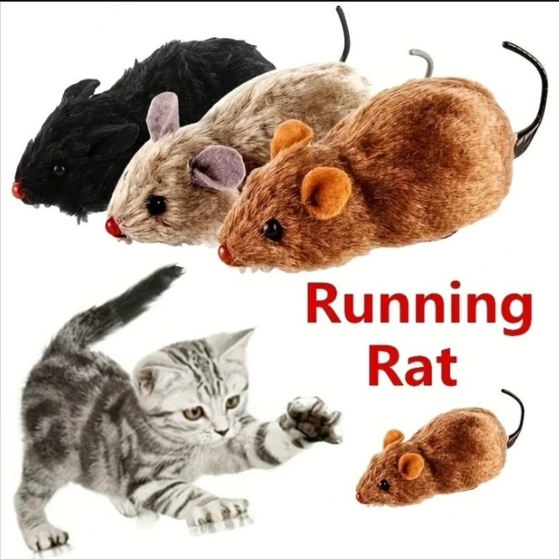 PurrMouse Toy
